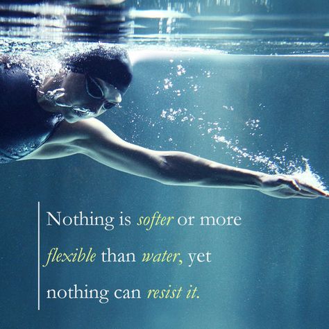 Swimming Inspiration, Swimmer Quotes, Swimming Motivation, Swimming Memes, I Love Swimming, Swimmers Life, Swim Life, Swimming Quotes, Competitive Swimming