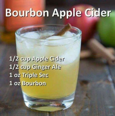 Gingerale Punch, Fruity Mixed Drinks, Bourbon Apple Cider, Hey Bartender, Mezcal Cocktails, Alcholic Drinks, Liquor Drinks, Christmas Cocktail, Boozy Drinks