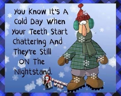 Cold Day Quotes Weather, Good Cold Morning, Cold Weather Humor, Cold Humor, Cold Weather Funny, Funny Winter Quotes, Cold Weather Quotes, Weather Humor, Getting Older Humor