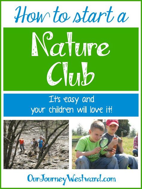 Homeschool Meetup Ideas, Nature Club, Environmental Club Ideas, School Club Ideas, Nature Curriculum, Nature Study Curriculum, Homeschool Nature Co Op, Outdoor Education Activities, Exploring Nature With Children