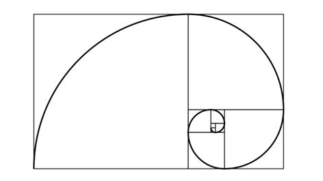 What is the Golden Ratio and why is it so important? - Geeky Gadgets Golden Ratio In Nature, Golden Ratio Tattoo, Fibonacci Number, Fibonacci Sequence, The Golden Ratio, Mommy Daughter, Golden Ratio, Star Tattoos, Class Ideas