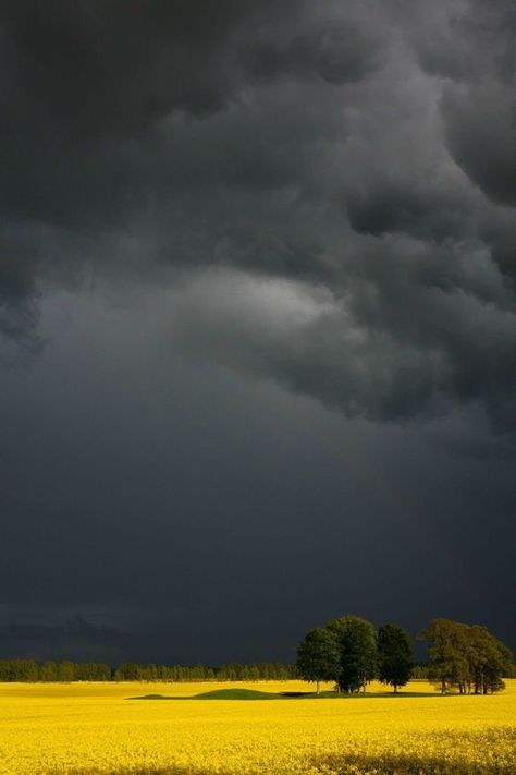 Dark Sky, Storm Clouds, Book Layout, Alam Yang Indah, Nature Aesthetic, Sky Aesthetic, Drawing Techniques, Natural Disasters, Amazing Nature