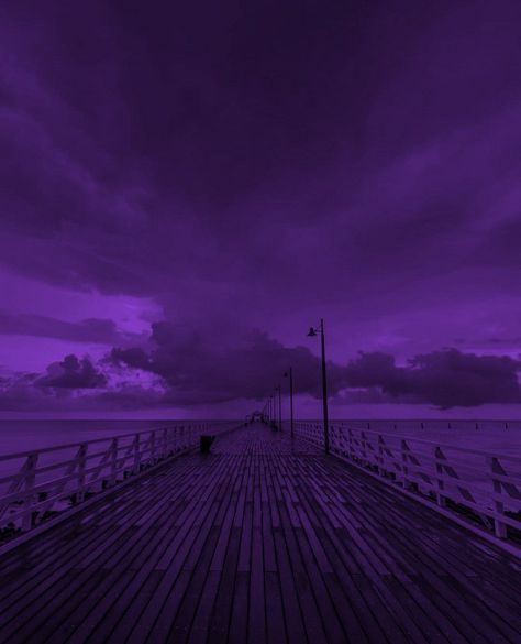 Russian Violet Aesthetic, Purple Backrooms, Purple Aesthetic Masculine, Dull Purple Aesthetic, Midnight Purple Aesthetic, Purple Hour Aesthetic, Royal Purple Aesthetic, Dark Academia Widget, Purple Hour