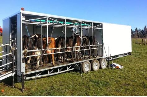 Mobile milking parlour -Cow Milking Technology - Agromasters Milking Parlor, Cow Milking, Milk Processing, Goat Milking, Churning Butter, Grain Storage, Dairy Farms, Robust Design, How To Level Ground