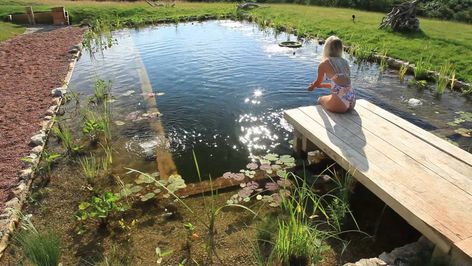 DIY Organic Pool vs. Commercial installation | David Pagan Butler on Patreon Organic Pools, Organic Pool, Eco Pool, Pool Natural, Sand Pool, Swimming Pool Pond, Natural Swimming Ponds, Swimming Pond, Natural Pond