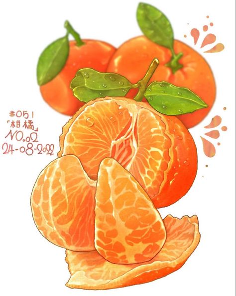 Orange Illustration Fruit, Jeruk Aesthetic, Orange Slice Drawing, Clementine Sketch, Tangerine Art, Orange Peal, Orange Drawing, Fruits Illustration, Artsy Background