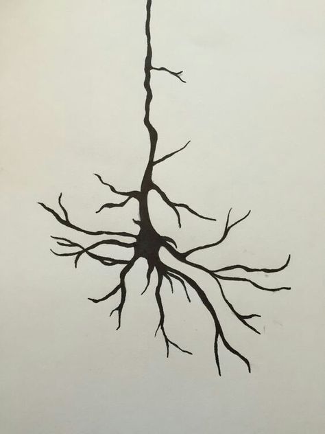 Neuron tattoo, Neuroscience tattoo, Neuron design. Neuroscience Tattoo, Neuron Tattoo, Neuron Art, Biology Tattoo, Redwood Tattoo, Neuroscience Art, Minimalist Tattoo Meaning, Science Tattoos, Paris Tattoo