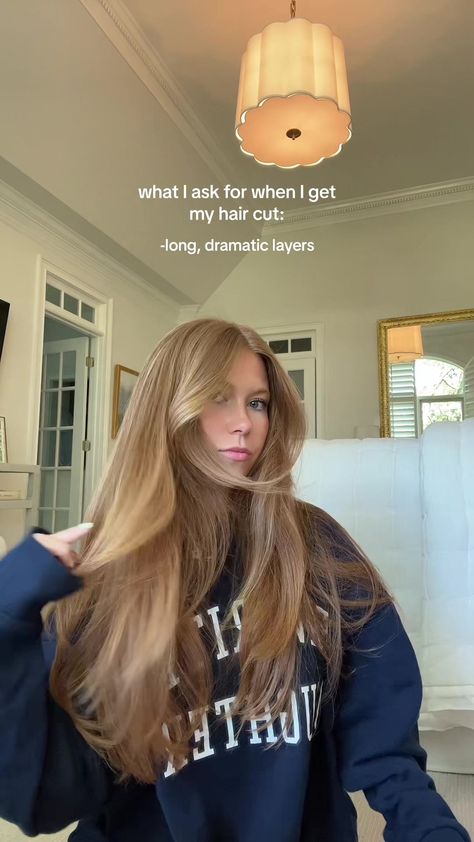 the 4 things I always ask for!! feel free to save 💌 #haircut #hairtok Lauren Loveless Hair, Lauren Loveless, The 4, Hair Inspo, Twitter Image, Hair Makeup, Hair Care, Hair Cuts, Product Description