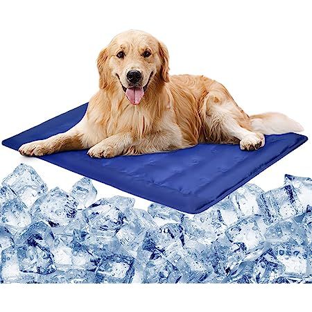 Dog Cooling Mat, Pet Cooling Mat, Cooling Pad, Dog Biting, Life Jacket, Pet Mat, Labradoodle, Cool Pets, Animal House