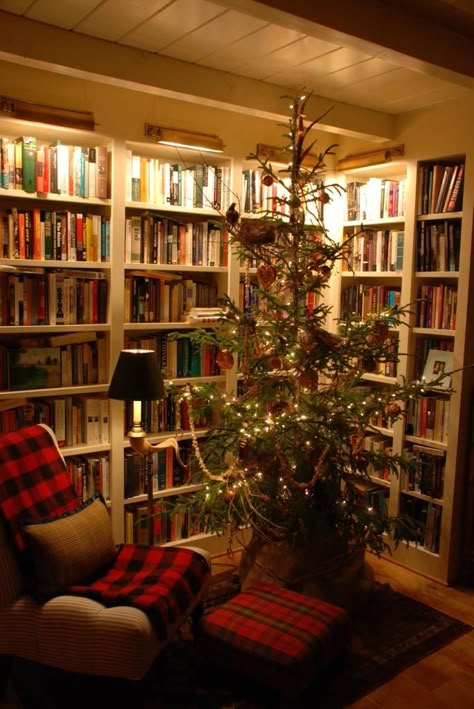 Plaid Library, Plaid Room, Shaped Shelves, Nell Hills, Tree Bookshelf, Christmas Cottage, Home Library Design, Cottage Christmas, Home Libraries