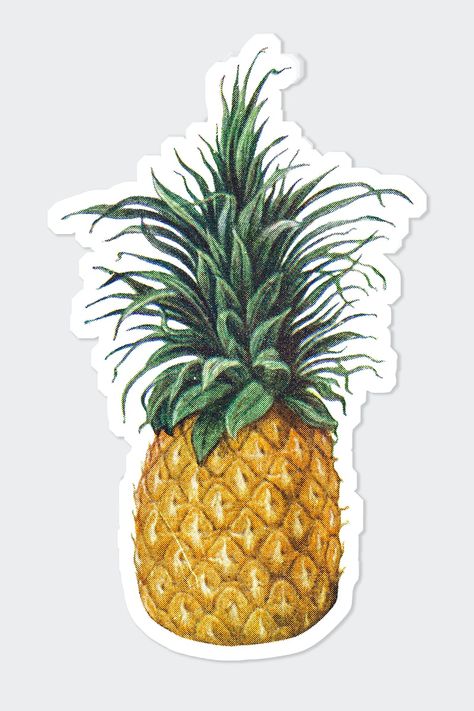 Pineapple Sticker, Sticker Design Inspiration, Hand Images, Business Stickers, Image Fun, Vintage Recipes, Free Illustrations, Recipe Book, White Border