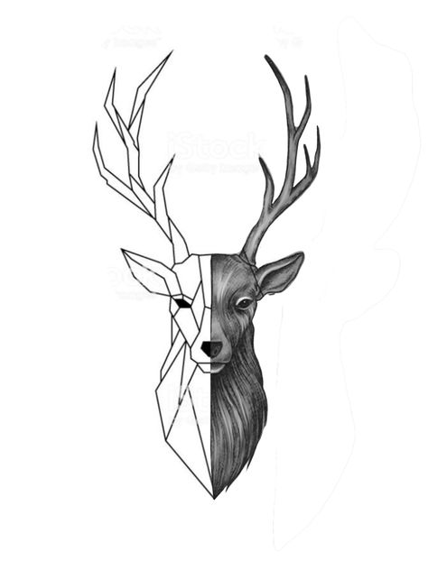 Deer Tattoo Men Chest, Tattoo Shop Interior, Deer Head Tattoo, Elk Tattoo, Deer Skull Tattoos, Deer Tattoo Designs, Hunting Tattoos, Deer Drawing, Capricorn Tattoo