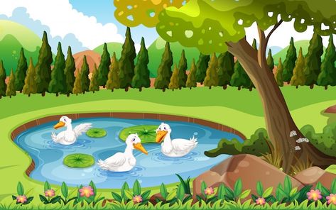 Duck In Pond, Ducks In A Pond, Pond Illustration, Pond Drawing, Three Ducks, Ducks Swimming, Duck Drawing, Swimming Pond, Back Wallpaper