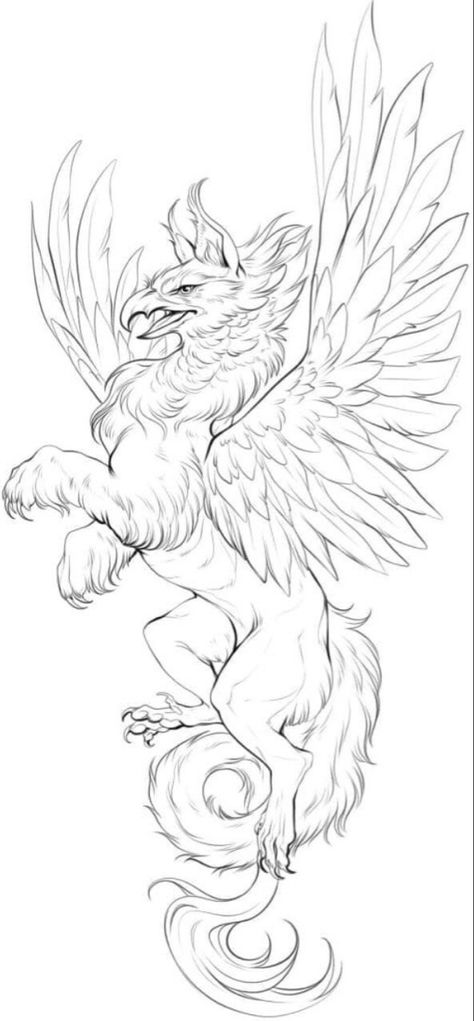 Mythology Animal Tattoos, Greek Mythical Creatures Art, Griffon Tattoo Design, Sketch Mythical Creatures, Mythology Creatures Drawings, Griffin Drawing Sketches, Griffin Line Art, Griffin Creature Design, Gryphon Tattoo Design