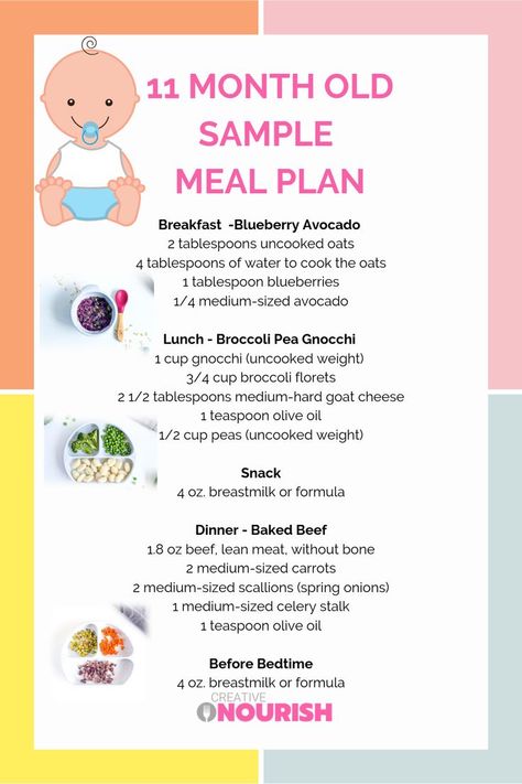 11 month old baby meal plan:) Nutritionist created and approved to provide nutritionally balanced meals. #11montholdbaby #babymealplan #babyfood 11 Month Old Meal Plan, Lunch Ideas 11 Month Old, Meals For 11 Month Old Baby, 11 Month Old Baby Food, 11 Month Old Food, Babywise Schedule, Infant Food, Baby Meal Plan, Easy Meal Plan