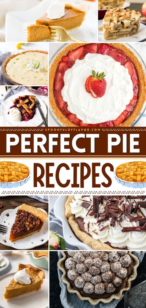 Perfect Pie Recipes, thanksgiving desserts, thanksgiving sweet treats Pie Ideas Creative, Creative Pumpkin Pie Recipes, Pretty Pie Recipes, Fancy Pies Beautiful, Fancy Pie Recipes, Best Pie For Thanksgiving, Holiday Pie Recipes Thanksgiving, Easy Thanksgiving Pies Recipes, Easy Unique Pie Recipes