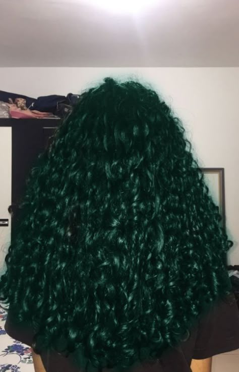 Dark Green Hair Color Black Women, Green Curly Hair Black Women, Dyed Curly Hair Green, Emerald Green Curly Hair, Dark Green Hair Curly, Dark Green Dyed Hair, Green And Black Curly Hair, Green Curly Hair Natural Curls, Dark Green Hair Black Women