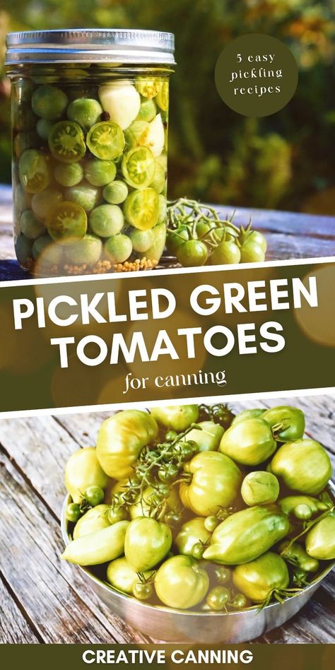 Green Tomatoes Recipes, Pickled Green Tomatoes Recipe, Green Tomato Pickles, Tomato Pickle Recipe, Canning Green Tomatoes, Recipes For Canning, Green Tomato Relish, Canning Tomatoes Recipes, Easy Pickling Recipes