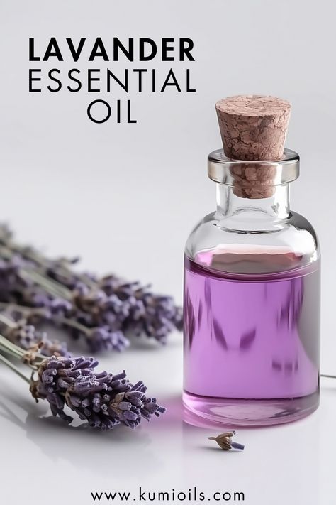 If you have an active interest in essential oils, you likely have a bottle of lavender oil in your essential oils kit. It’s definitely one of the most- if not the most- versatile and popular essential oils. And for good reason! Lavender’s light floral scent brings many health benefits with it. Here are just a few of the many health issues lavender oil has been shown to help with. Discover 10 reasons to love lavender oil. Homemade Cough Remedies, Essential Oils Kit, Lavender Benefits, Homemade Essential Oils, Lavender Recipes, Herbal Recipes, Oil Mix, Essential Oil Diffuser Blends, Oil Diffuser Blends