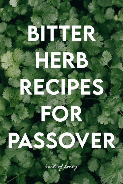 Bitter Herbs, Passover Feast, Passover Meal, Feast Of Unleavened Bread, Passover Dinner, Braised Greens, Endive Salad, Exodus 12, Bitters Recipe