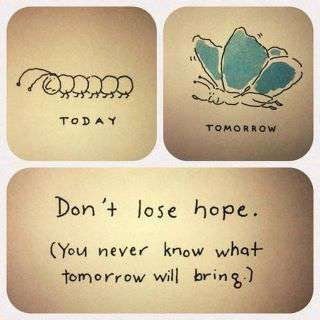 Don't lose hope! Dont Lose Hope, Never Lose Hope, Lost Hope, Visual Statements, E Card, Quotable Quotes, You Never Know, The Words, Great Quotes