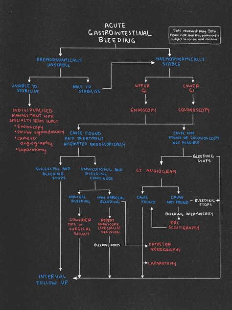 Upper GI Bleeds with Dr. Jordan Burlen — Louisville Lectures Gastrointestinal Nursing, Nurse Hacks, Medical Assistant Student, Nurse Study, Metabolic Acidosis, Medical Quotes, Medical Pictures, Gastrointestinal System, Nurse Study Notes