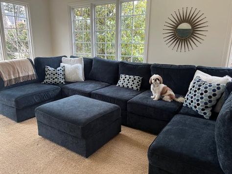 Large Navy Sectional Living Room, Pet Friendly Sectional Sofa, Lovesac Sactional Ideas, Sactional Lovesac, Lovesac Sactional Living Rooms, Love Sac Sectional, Lovesac Sectional, Navy Blue Sectional, Lovesac Sactional