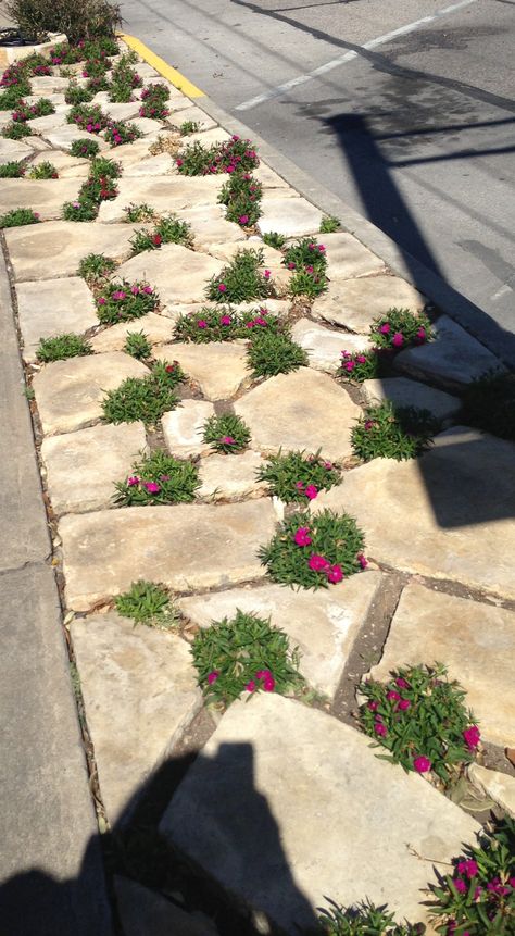 Diy Outdoor Walkway Pathways, Hellstrip Landscaping, Sidewalk Landscape, Porch Landscape, Pavers Walkway, Walkway Designs, Sidewalk Landscaping, Porch Landscaping, Backyard Ideas For Small Yards