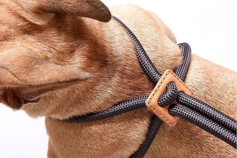 A luxurious range of handmade pet accessories that fuses functionality with style! – Yanko Design Dog Belt Design, Diy Dog Harness, Dog Belt, Handmade Dog Accessories, Handmade Pet, Dog Collars & Leashes, Leather Projects, Chic Accessories, Diy Dog Stuff