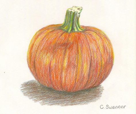 Pumpkin Color Pencil Drawing, Drawings Of Pumpkins, Pumpkin Drawings, Pumpkin Drawing, Realistic Drawing, Clip Art Pictures, Sketch Books, Pumpkin Clipart, Colour Pencil