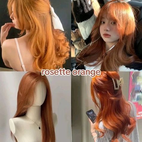 Colors For Warm Undertones, Hair Colors For Warm Undertones, Warm Undertone Hair Color, Dyed Ginger Hair, Color Analysis Test, Glow Up Plan, Hair Color Swatches, Warm Hair Color, Korean Hair Color