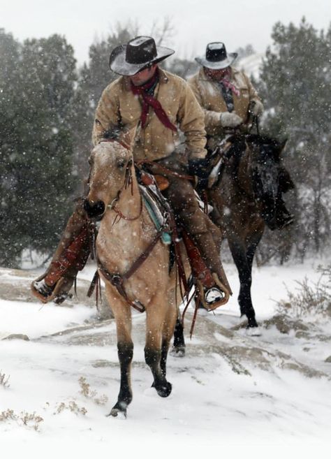 Cowboy Photography, Cowboy Pictures, Real Cowboys, Western Artwork, Cowboy Aesthetic, Western Photography, Wilde Westen, Cowboy Horse, Western Life