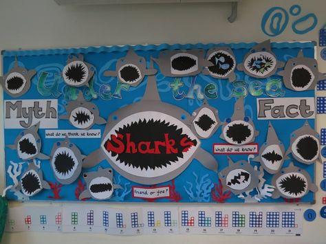 Shark and Whale Expo at Harrow International School with the Year ... Shark Bulletin Board Ideas, Shark Bulletin Board, K4 Crafts, Guidance Office, Multicultural Night, Summer School Crafts, Halloween Doors, Shark Activities, Sea Life Theme