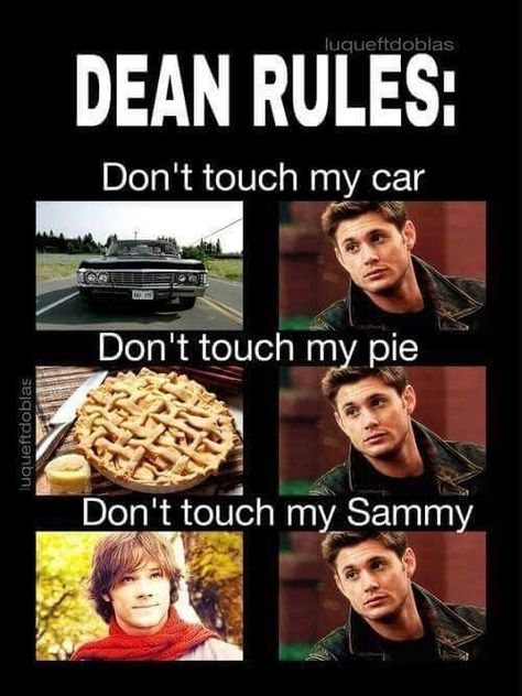 #SPNFamily #supernatural #spn #SPNFamilyForever #spnfandom #SupernaturalFamily #SupernaturalFans #SupernaturalAddict Funny Love Quotes For Her, Funny Love Quotes For Him, Supernatural Series, Funny Love Quotes, Supernatural Wallpaper, Supernatural Pictures, Supernatural Quotes, Supernatural Tv Show, Supernatural Destiel