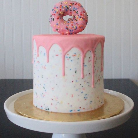 Donut Birthday Cake, Donut Themed Birthday Party, Donut Cake, Stone Shapes, Smash Cake Girl, Birthday Donuts, Donut Birthday Parties, Sprinkle Donut, 2nd Birthday Party Themes