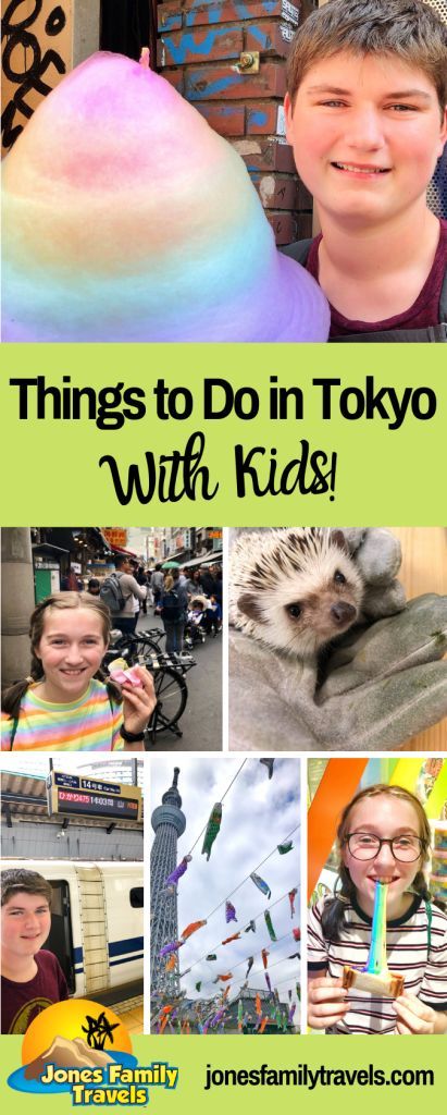 Things to Do in Tokyo with Kids Tokyo With Kids, City In Japan, Things To Do In Tokyo, Tokyo Japan Travel, Visit Tokyo, Animal Experiences, Dog Cafe, Japan Vacation, Tokyo Skytree