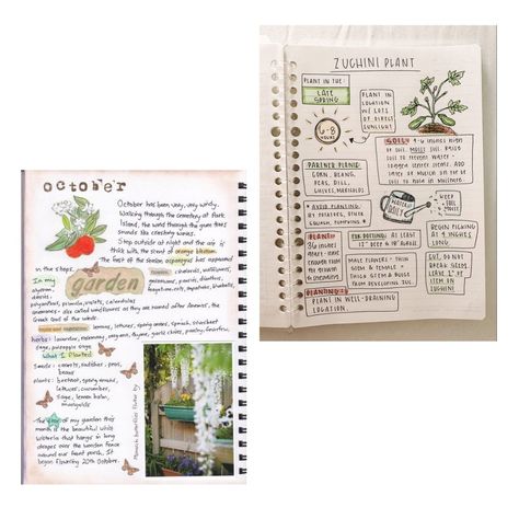 🌱 Garden Journaling Ideas for a Thriving Green Space! 📖🌼 Are you ready to take your gardening to the next level? 🌿 Keeping a garden journal can help you track your plants' growth, document your successes, and learn from your challenges. Here are some creative ideas to get you started! 📝 Start your garden journey today and watch your garden thrive! What are your favorite journaling tips? Share below! 👇✨ #GardenJournaling #GardeningTips #PlantCare #GrowYourOwn #GardenGoals Garden Journal Ideas, Plant Journal Ideas, Plant Care Journal Ideas, Gardening Journal Ideas, Plant Care Journal, Plant Journal Template, Garden Journal Template, Vegetable Garden Journal, Garden Bullet Journal