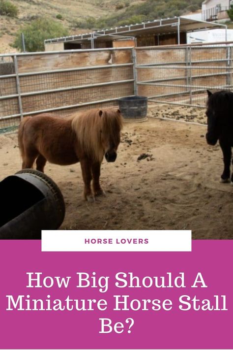 Mini Horse Stall Ideas, Pony Stall Ideas, Mini Horse Stall, Horse Stalls Cheap, Easy Horse Stalls, Horse Stall Ideas, Miniature Horse Driving, Horse Stalls Diy, Mini Horse Barn