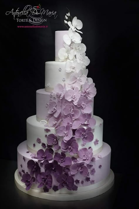 Wedding Cake Designs Purple Lavender, Lavender And Pink Wedding Cake, Purple Floral Wedding Cake, Lavender Colour Cake, Wedding Cake Designs Purple, Levander Wedding, Purple And White Wedding Cake, Lilac Wedding Cake, Wedding Cake Purple