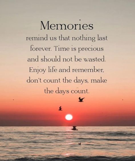 Make Every Day Count, Day Count, Time Is Precious, Nothing Lasts Forever, Christian Quotes Prayer, Words Of Comfort, After Life, Memories Quotes, Positive Outlook