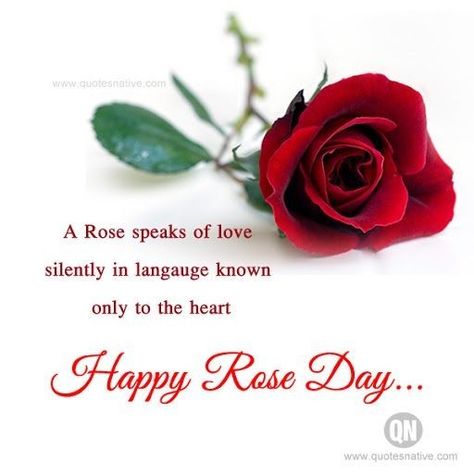 Alu Arjun, Happy Rose Day Quotes, Happy Rose Day Wallpaper, Fcb Wallpapers, Rose Day Wallpaper, Valentine's Quotes, Rose Day Quotes, Happy Valentines Day Quotes For Him, Anniversary Wishes Quotes