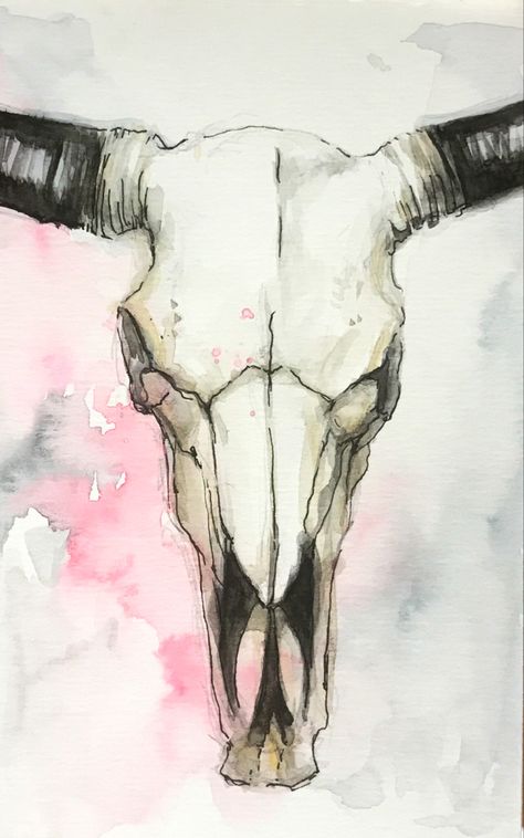 Longhorn cattle Longhorn Skull Drawing, Bull Skull Art, Animal Skull Art Painting, Longhorn Skull With Flowers Drawing, Painting On Animal Skulls, Cow Skull Watercolor, Watercolour Skull, Animal Skull Drawing, Elephant Skull