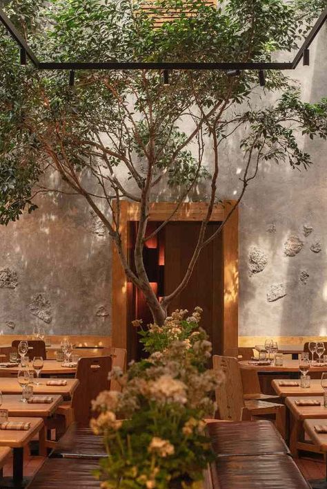 Modern Latin Restaurant Design, Maximo Bistrot Mexico City, Best Restaurants Mexico City, Spain Restaurant, Mexico Town, Mexico Restaurant, Condesa Mexico City, Mexico City Food, Garden Lunch