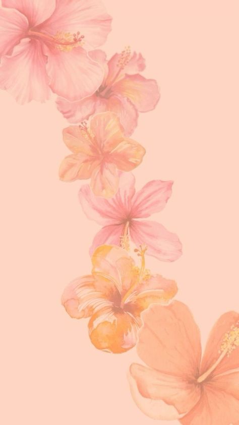 Lilies Background Wallpapers, Peach Colored Widgets, Cute Wallpapers Pink And Orange, Ipad Homescreen Wallpaper Pink, Peach And Pink Wallpaper, Coral Pink Wallpaper Iphone, Coral Pink Aesthetic Wallpaper, Pink Phone Asthetics, Pink And Orange Iphone Layout