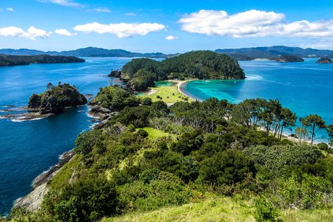 Bay of Islands Lookout. bay of islands tour from auckland. best places to visit in New Zealand New Zealand North Island, New Zealand Itinerary, North Island New Zealand, New Zealand Adventure, New Zealand Travel Guide, Bay Of Islands, Visit New Zealand, Waiheke Island, Mexico Travel Destinations