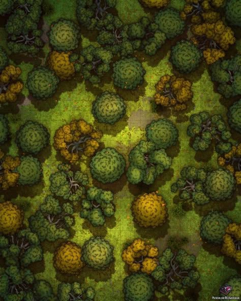 Dnd Forest Battle Map, Forest Map Rpg, Dnd Maps Forest, D&d Battle Maps, Dnd Forest Map, Forest Battle Map, Forest Battlemap, Map Rpg, Maps Rpg