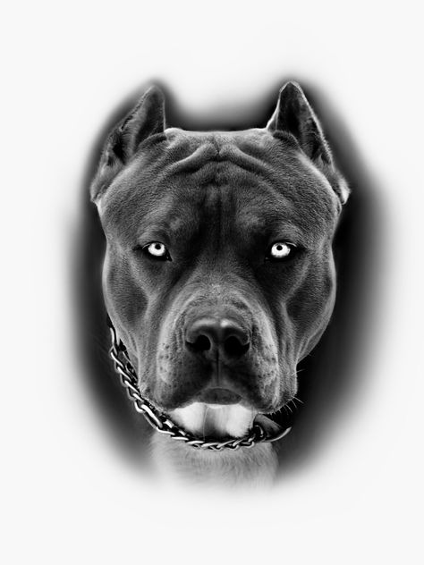 Tattoo Ideas Pitbull, Pitbull Dog Tattoo Ideas, Staff Tattoo Dog, Black Pitbull Tattoo, Scary Pitbulls, Pitbull Tattoo For Men, Dogo Argentino Tattoo, American Bully Tattoo, Pitbull Tattoo Ideas