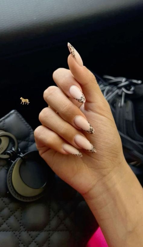 Round Nails Designs Classy, Nail Ideas Long Almond, Nail Inspiration Ballerina, Italian Nails Trends, Mandel Nails, Leo Nails, Pink Leopard Nails, Rodeo Nails, Gold Gel Nails