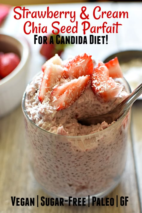 Mevy Diet Recipes, Anti Candida Diet Recipes, Candida Diet Recipes Dinner, Candida Dessert Recipes, Candida Diet Desserts, Vegan Candida Diet Recipes, Candida Meal Plan, Candida Snacks, Candida Breakfast Recipes