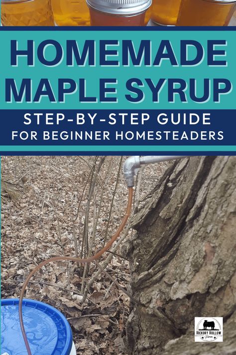 Making homemade maple syrup can be a fun family weekend project or a beginner homesteading project. Making maple syrup only requires a few maple sugaring supplies! You can have a simple backyard maple syrup production with as little as two trees! Maple Syrup Harvesting, Making Maple Syrup, Diy Maple Syrup Evaporator, Beginner Homesteading, Diy Maple Syrup, Maple Syrup Evaporator, Homemade Maple Syrup, Maple Sugaring, Maple Water